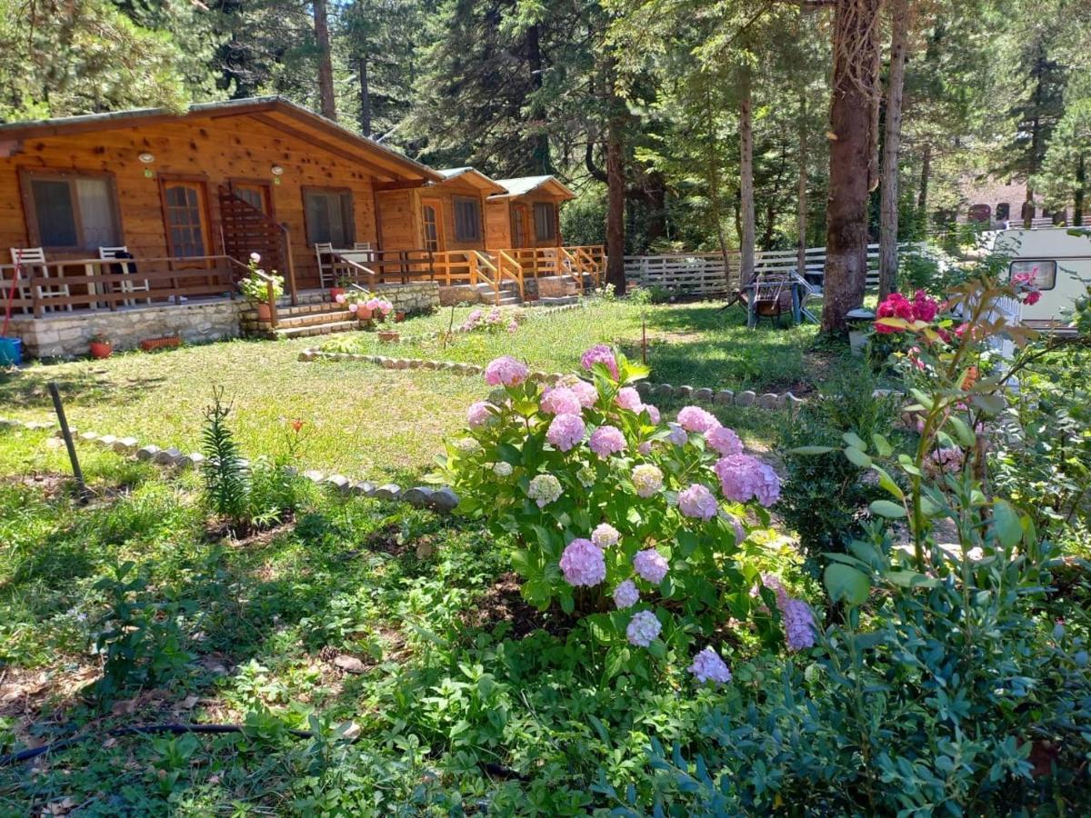 Bujtina Uji I Panjes, Log Cabins Dukat Buitenkant foto