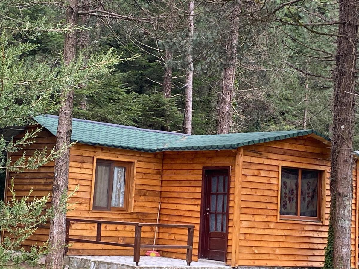 Bujtina Uji I Panjes, Log Cabins Dukat Buitenkant foto