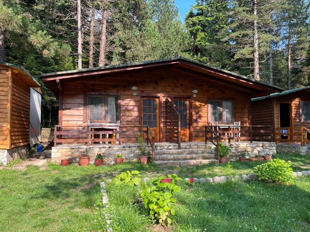 Bujtina Uji I Panjes, Log Cabins Dukat Buitenkant foto