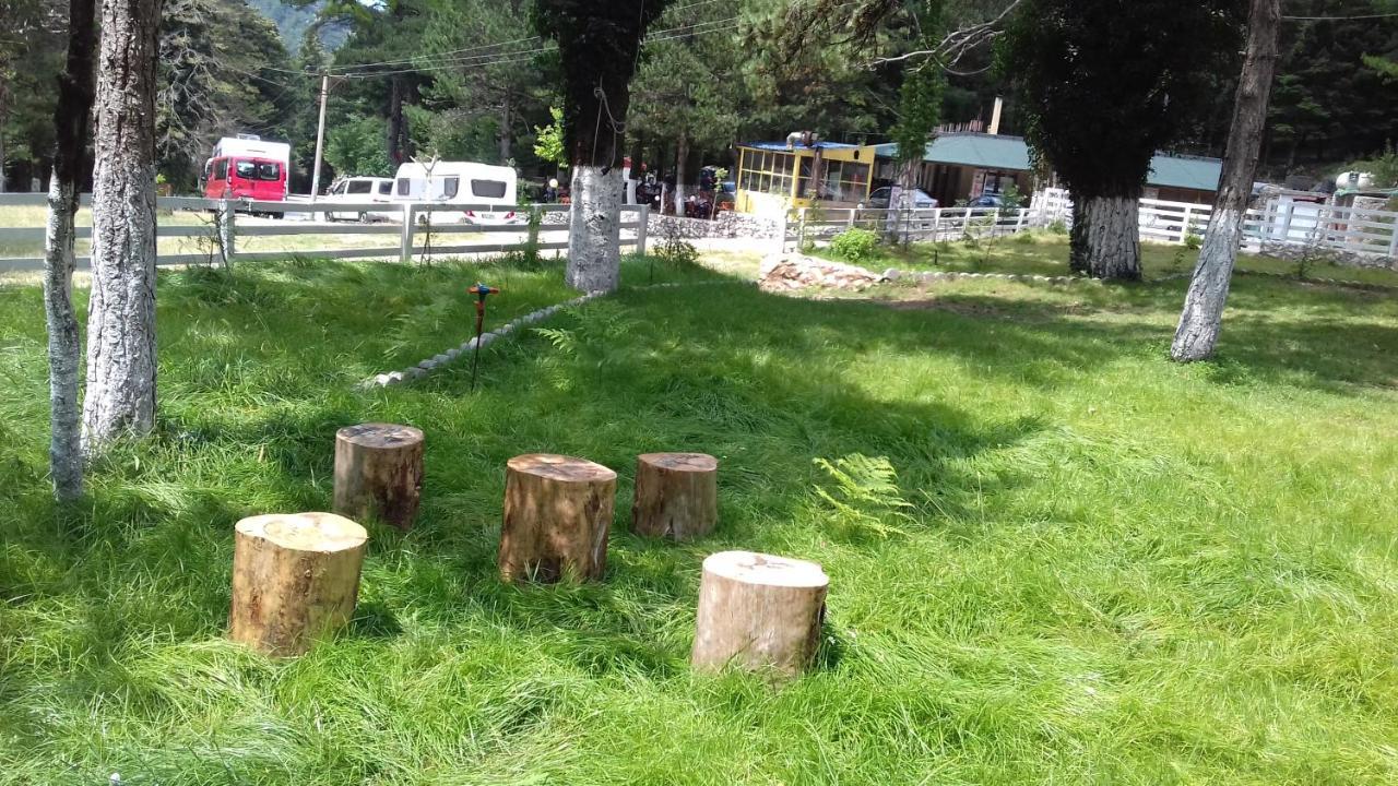 Bujtina Uji I Panjes, Log Cabins Dukat Buitenkant foto